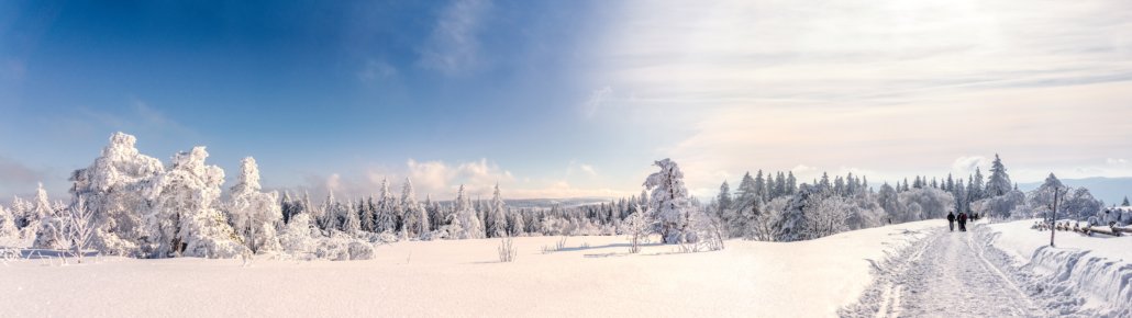 Das Bild zeit eine schöne Winterlandschaft sowie einen beschneiten Weg